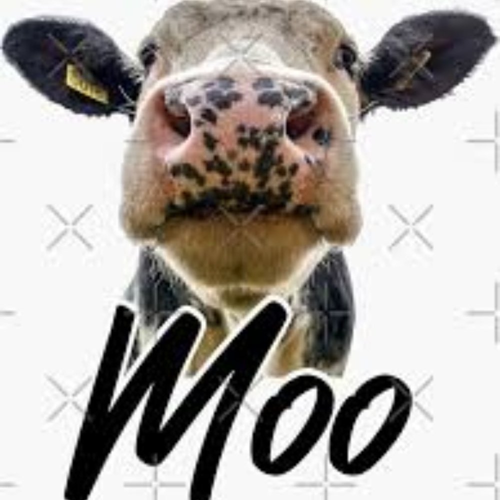 mooo mates